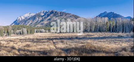 Vista panoramica di un prato alpino autunnale nel Banff National Park, Alberta, Canada Foto Stock