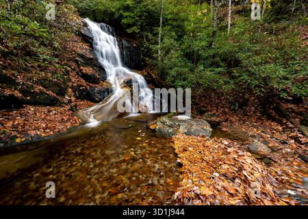 Cascate di Log Hollow in autunno - Pisgah National Forest, vicino a Brevard, North Carolina, Stati Uniti Foto Stock