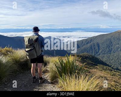 Vista posteriore di un escursionista che guarda la vista dal Paparoa Track, dal Paparoa National Park, dall'Isola del Sud, dalla nuova Zelanda Foto Stock
