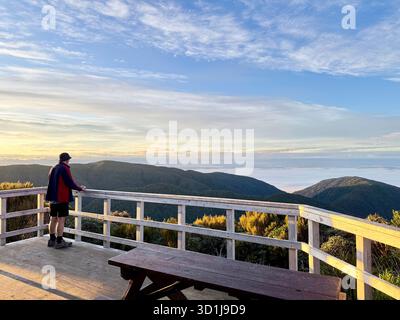 Vista posteriore di un uomo in piedi su una piattaforma di osservazione che guarda il tramonto, Paparoa Track, Paparoa National Park, South Island, nuova Zelanda Foto Stock