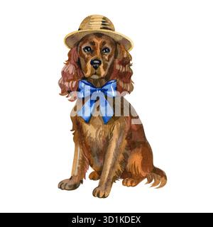 Illustrazione in acquerello del cane inglese Cocker Spaniel che indossa un cappello di paglia e un fiocco blu, grazioso ritratto di cucciolo marrone dipinto a mano, elegante stile per animali domestici Foto Stock
