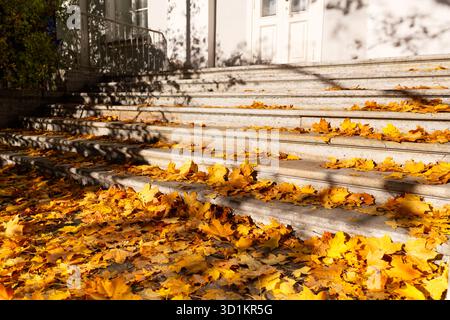 Le foglie d'acero giallo autunnale giacciono sui gradini della scala di un edificio. Foglie cadute. Umore autunnale Foto Stock