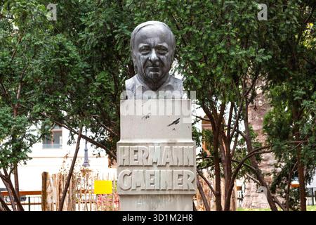 Hermann-Gmeiner-Denkmal, Gründer von SOS Kinderdorf, Parco a Wien, Österreich // Monumento Hermann Gmeiner, fondatore del villaggio per bambini SOS, parco a Vienna, Austria - 20251028 PD19690 credito: APA-PictureDesk/Alamy Live News Foto Stock