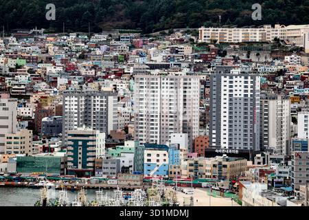BUSAN, COREA DEL SUD - 9 OTTOBRE 2025 - il paesaggio urbano costiero di Busan, che presenta edifici densi, barche da pesca e una lussureggiante collina Foto Stock