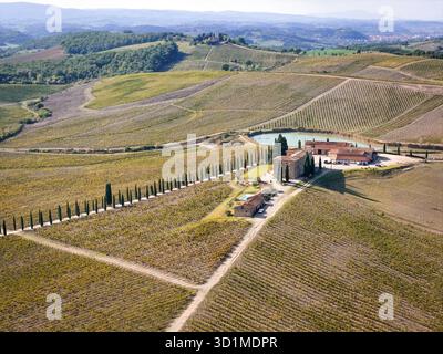 Vista aerea di un paesaggio toscano soleggiato con vigneti verdeggianti che convergono in una classica villa italiana, Castellina in Chianti, Toscana, Italia. Foto Stock