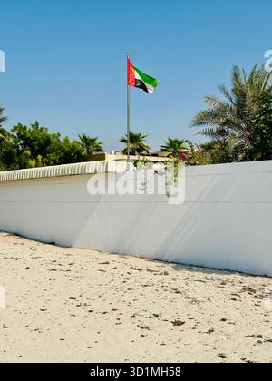 Bandiera degli Emirati Arabi Uniti Foto Stock