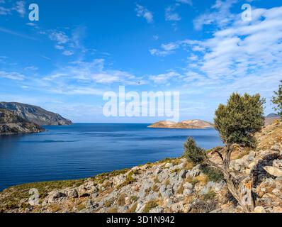 Vista panoramica della baia di Arginonta sull'isola di Kalymnos in Grecia. La zona è Una destinazione popolare per gli arrampicatori sportivi. Un piccolo albero di pino dentro Foto Stock