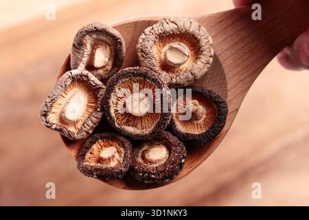 Funghi shiitake biologici essiccati in un cucchiaio di legno tenuto a mano. Vista dall'alto Foto Stock