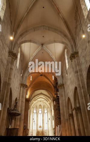 Vista sul soffitto di un'antica chiesa cattolica romana. Vista da dietro la gente, Alba Iulia, Romania Foto Stock