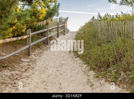 sentiero sulla spiaggia di cryder Foto Stock