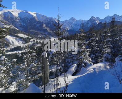 Sentiero nero innevato da Rusinowa Polana, Monti Tatra, vista panoramica invernale delle vette di Vysoké Tatry e della foresta ricoperta di neve. Polonia Slovacchia paesaggio alpino Foto Stock