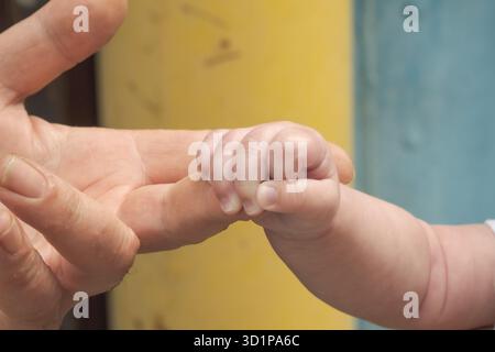 Bambina che tiene un dito adulto con la sua minuscola mano, mostrando tenera cura della famiglia a Loznica, Serbia. Foto Stock