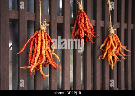 Magome, Giappone lungo il Nakasendo Trail con peperoncino Togarashi essiccato in mostra. Foto Stock