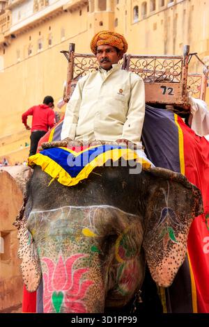 Mahout cavalca un elefante decorato sul sentiero acciottolato verso il forte Amber vicino a Jaipur, Rajasthan, India. Foto Stock