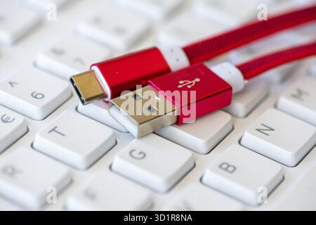 Primo piano su un cavo USB di tipo C con tastiera bianca sullo sfondo, TimiÈ™oara, Romania Foto Stock