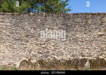 Sullo sfondo le pietre e la consistenza del castello medievale di parete Foto Stock
