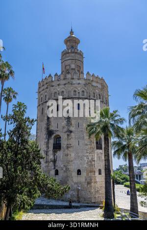 Siviglia, Siviglia - Spagna â€“ 04-19-2024: Torre del Oro, un'iconica torre di guardia militare sul fiume, circondata da palme e un cielo azzurro Foto Stock