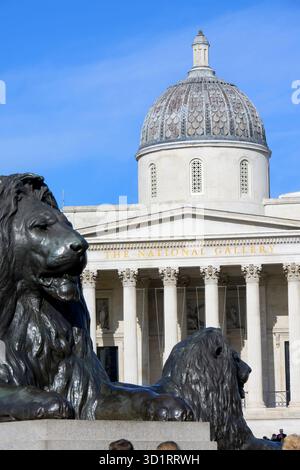 Londra, Regno Unito. La Galleria Nazionale e due dei leoni (di Edwin Landseer) alla base della colonna di Nelson in Trafalgar Square. Foto Stock
