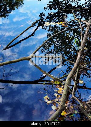 In parte rami sommersi e riflessi nuvolosi nel fiume Nidd vicino a Knaresborough North Yorkshire Inghilterra Foto Stock