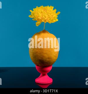 Composizione con limone e fiore giallo su sfondo blu Foto Stock