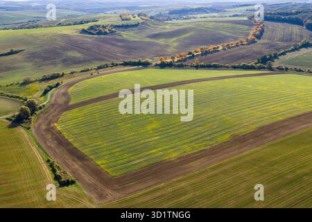 Il pittoresco e ondulato paesaggio della Toscana della Moravia, repubblica Ceca Foto Stock