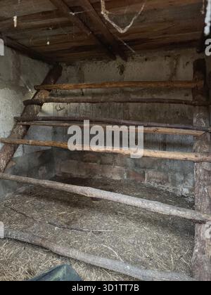 Un pochino di legno in un pollaio rurale. Foto Stock