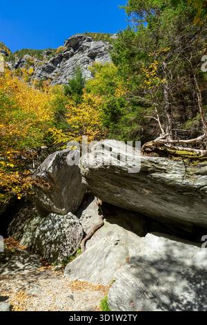 Splendida foto delle rocce e degli alberi colorati in autunno a Smugglers Notch in Vermont. Foto Stock