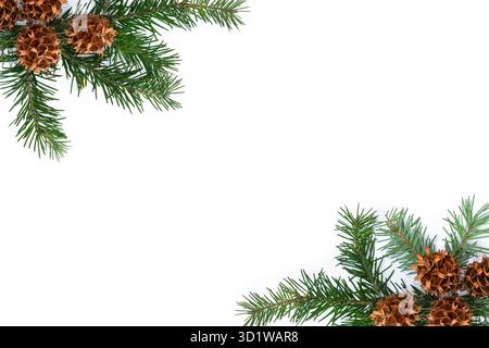 Vista dall'alto giacimento piatto di pini (Pseudotsuga menziesii) rami e coni disposti su uno sfondo bianco con spazio di copia Foto Stock