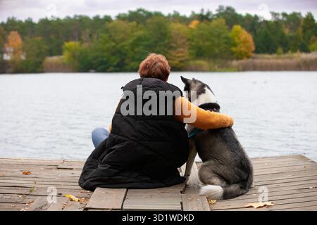 Siberian Husky seduto sulla strada in un parco autunnale Foto Stock