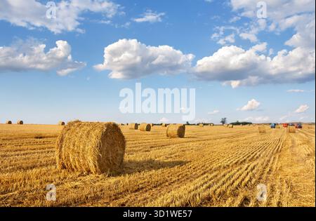Un campo con balle di paglia dopo il raccolto, coltivatore su trattore in campi che producono balle di paglia sullo sfondo del cielo con nuvole bianche Foto Stock