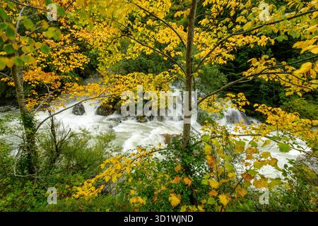 Corridoio verde del fiume Veral, valli occidentali, catena pirenaica, provincia di Huesca, Aragona, Spagna, Europa Foto Stock