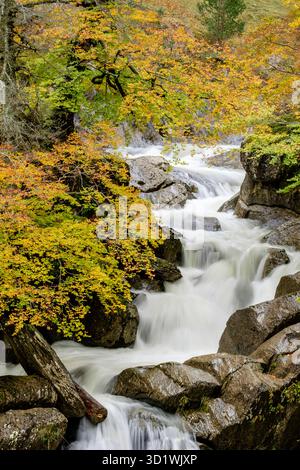 Corridoio verde del fiume Veral, valli occidentali, catena pirenaica, provincia di Huesca, Aragona, Spagna, Europa Foto Stock