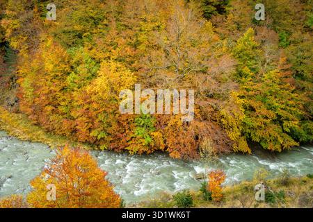 Corridoio verde del fiume Veral, valli occidentali, catena pirenaica, provincia di Huesca, Aragona, Spagna, Europa Foto Stock