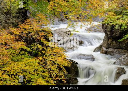Corridoio verde del fiume Veral, valli occidentali, catena pirenaica, provincia di Huesca, Aragona, Spagna, Europa Foto Stock