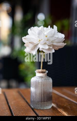 Fiore artificiale bianco in vaso di vetro su tavolo di legno Foto Stock