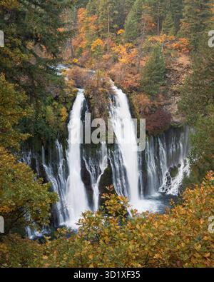 Burney Falls si tuffano nel fogliame autunnale del McArthur-Burney Falls Memorial State Park nella contea di Shasta, California. Foto Stock