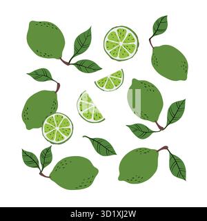Set tropicale di limes gialli e fette di lime. Disegno dei limoni disegnato a mano su sfondo bianco. per tessuti, etichette per disegni, stampe e sfondi Illustrazione Vettoriale
