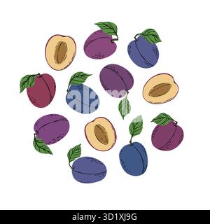 Prugne viola e fette di prugne tropicali. Prugna di frutta tritata a mano isolata su sfondo bianco. tessuto, etichette da disegno, stampa, carta da parati di bambini Illustrazione Vettoriale