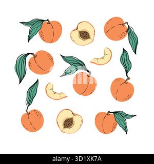 Set di pesche d'arancia e fette di pesca. Pesche trafilate a mano con foglie isolate su sfondo bianco. per tessuti, etichette per disegni, stampe e sfondi Illustrazione Vettoriale