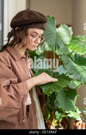 Ragazza pulendo la polvere dalle foglie di pianta, prendersi cura di Alocasia di pianta domestica utilizzando tampone di cotone umido Foto Stock