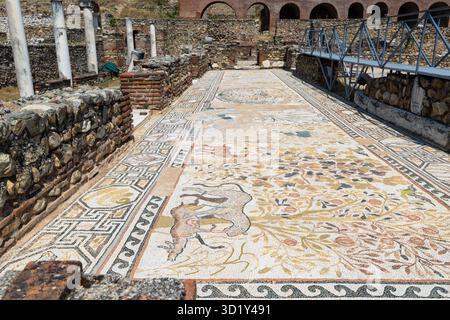 Mosaico a Heraclea Lyncestis - antica città greca in Macedonia Foto Stock