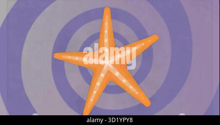 Visualizzazione di stelle marine arancioni che girano su anelli concentrici viola e grigio, mostrando macchie bianche Foto Stock