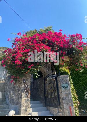 Grecia Corfù vacanza 2025 Foto Stock