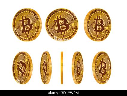 Varie angolazioni di Bitcoin Coins che mostrano il design della valuta digitale e le complessità in uno stile 3D per la rappresentazione finanziaria. Illustrazione Vettoriale