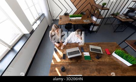 Colleghi che collaborano a un progetto in un accogliente spazio ufficio durante il giorno Foto Stock