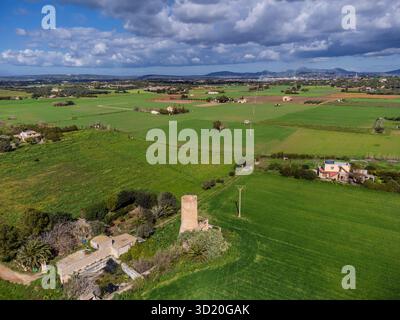 Campagna es Pla de Llodrà Foto Stock