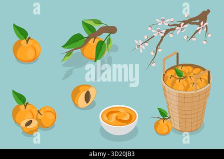 Set piatto isometrico 3D di albicocche ed elementi, prodotti agricoli Set piatto isometrico 3D di albicocche ed elementi, prodotti agricoli Foto Stock