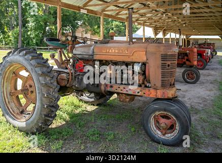 Vecchio trattore arrugginito McCormick Farmall parcheggiato sotto un tetto di legno Foto Stock