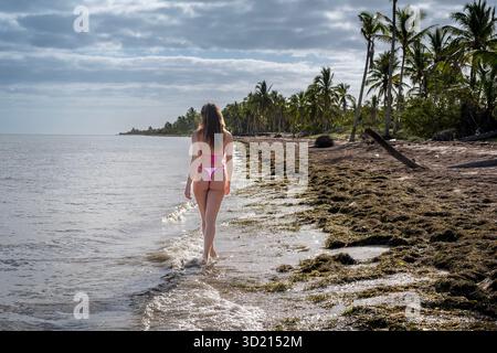 Incantevole passeggiata mattutina: Una donna radiosa cammina su Una spiaggia caraibica, abbracciata da palme e mari sereni in dolce nebbia mattutina Foto Stock