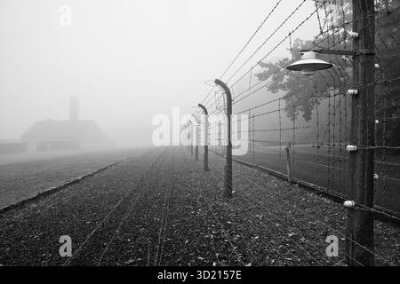 Recinzione ricostruita del campo con crematorio nella nebbia al campo di concentramento di Buchenwald, oggi un memoriale del campo di concentramento, Weim Foto Stock